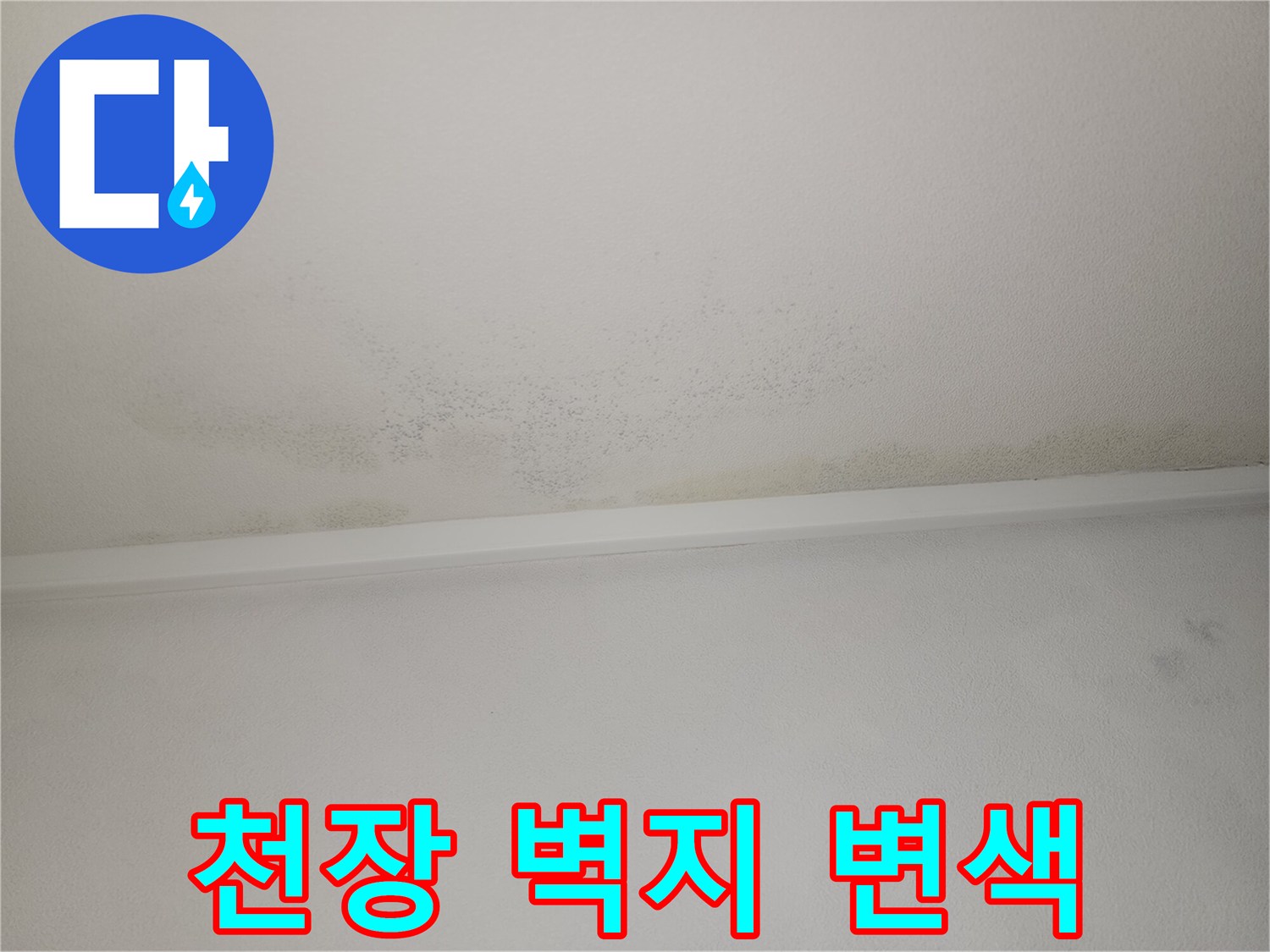천장 벽지가 젖어서 얼룩진 모습 - 누수 의심 부위