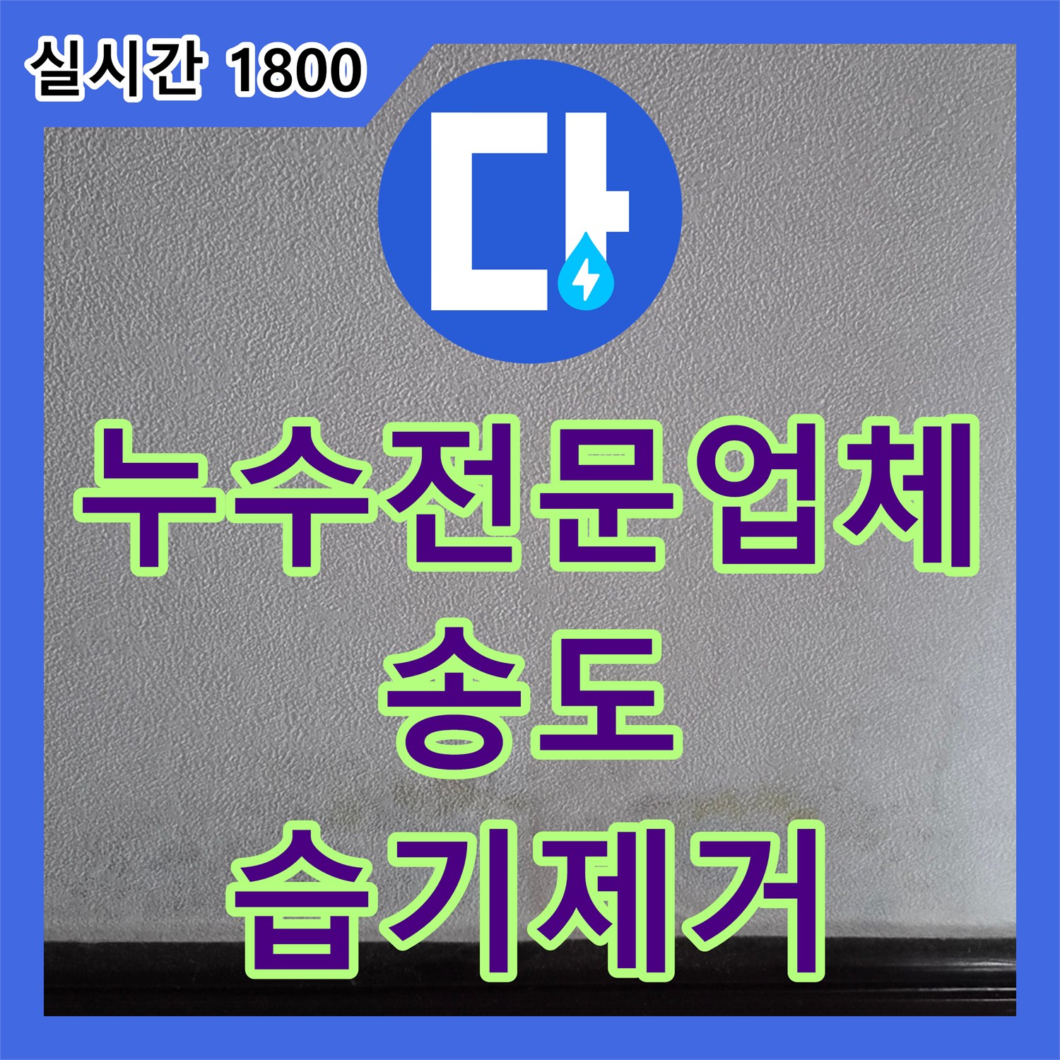 누수전문업체 화장실 벽면 습기로 인한 곰팡이 발생 지점을 정밀 진단하여 해결한 인천 연수구 송도동