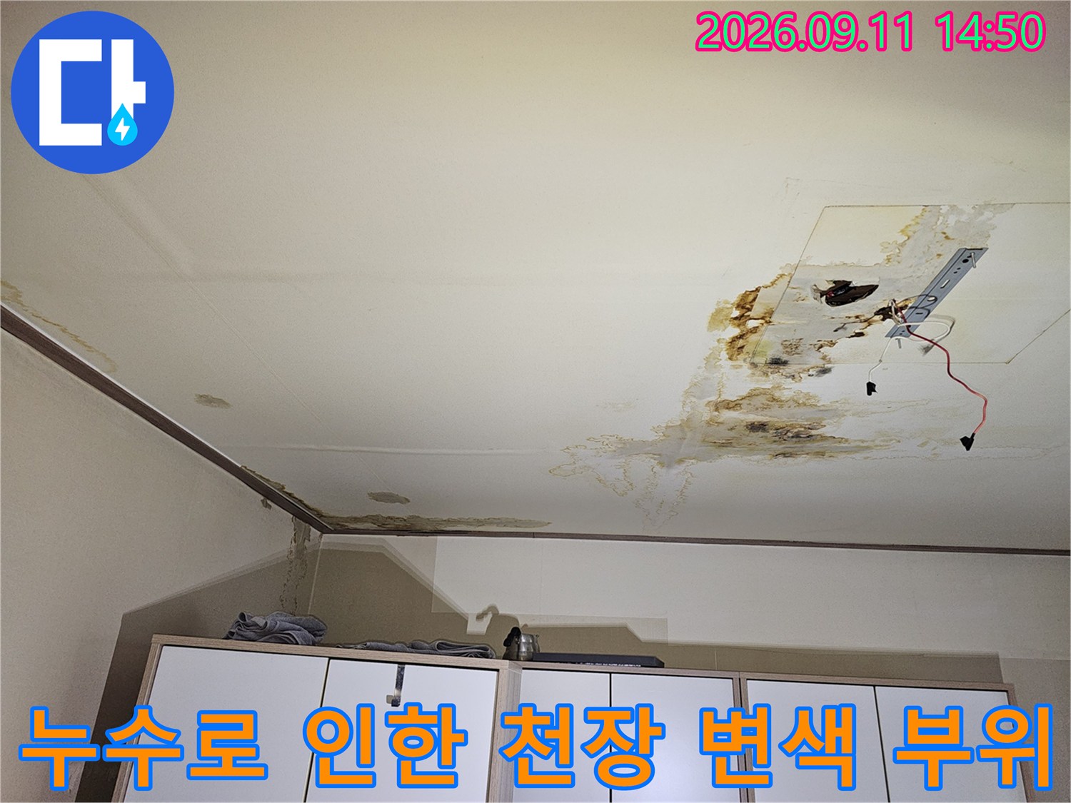개봉동 주택 천장-전등 근처의 심한 누수 얼룩과 곰팡이 발생