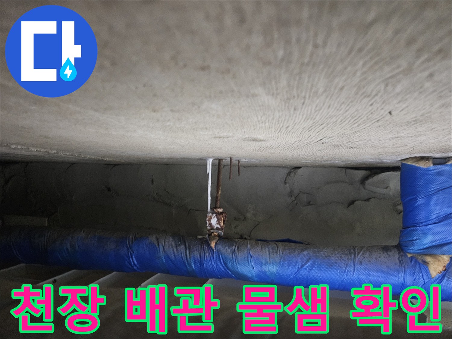 일산동구 장항동-아랫집 천장 배관 주변의 습기와 오염 상태를 점검하는 모습입니다.