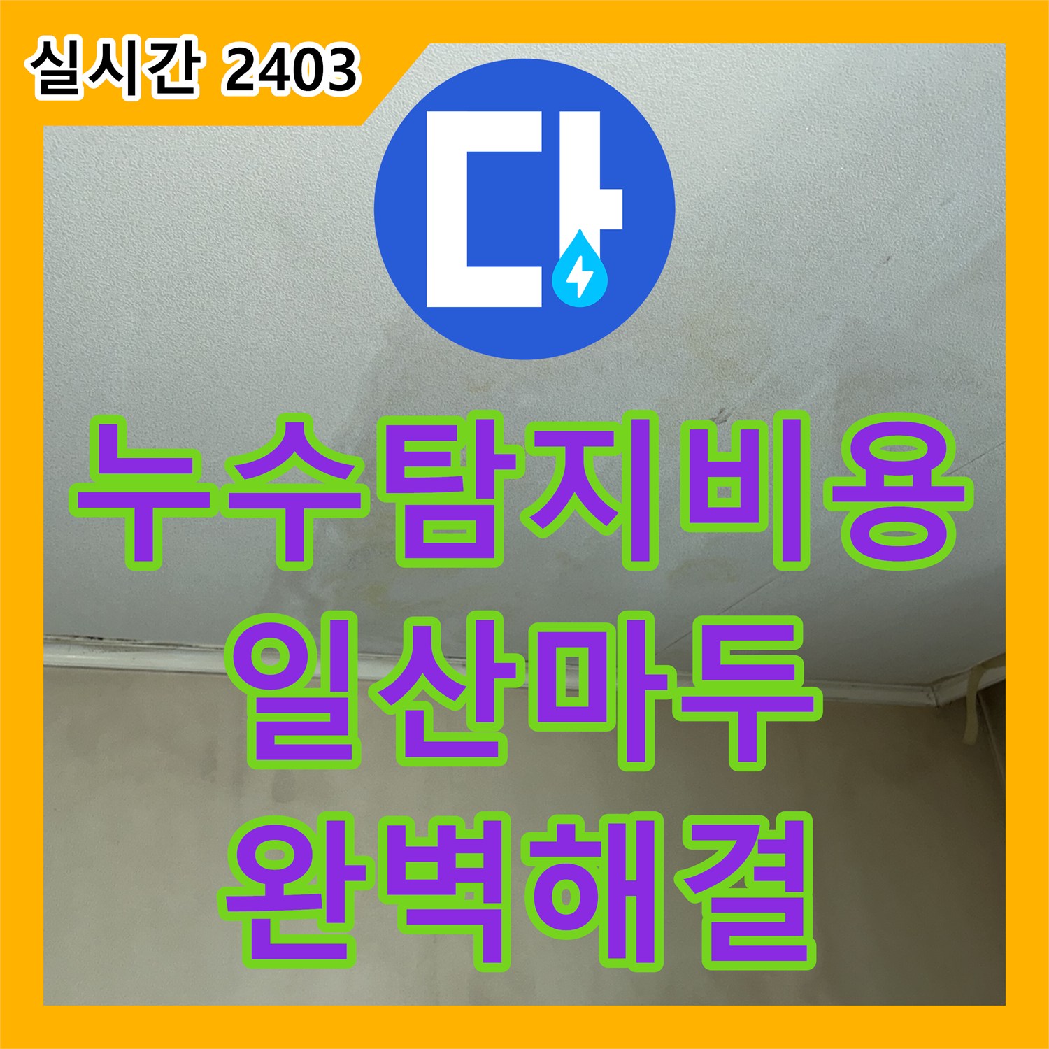 누수탐지비용 걱정 없는 정밀 진단으로 해결한 안방 천장 누수 사례 경기 고양시 일산동구 마두동