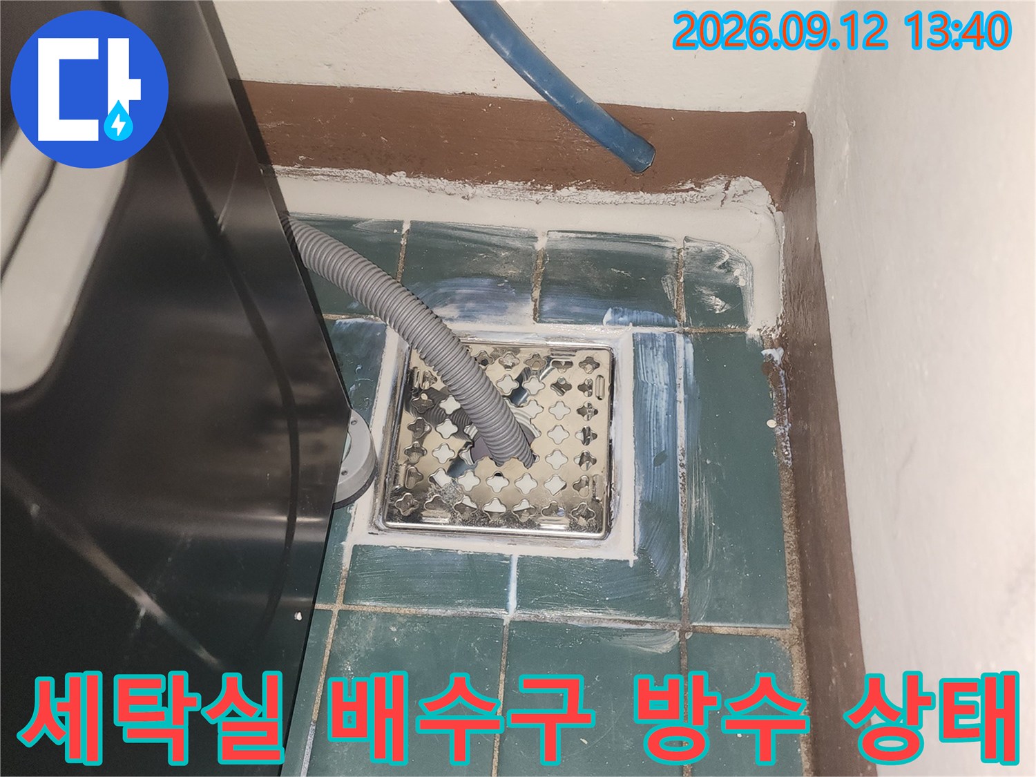 성동구 성수동 세탁실 배수구 주변의 타일과 유가 상태를 보여주는 사진입니다.