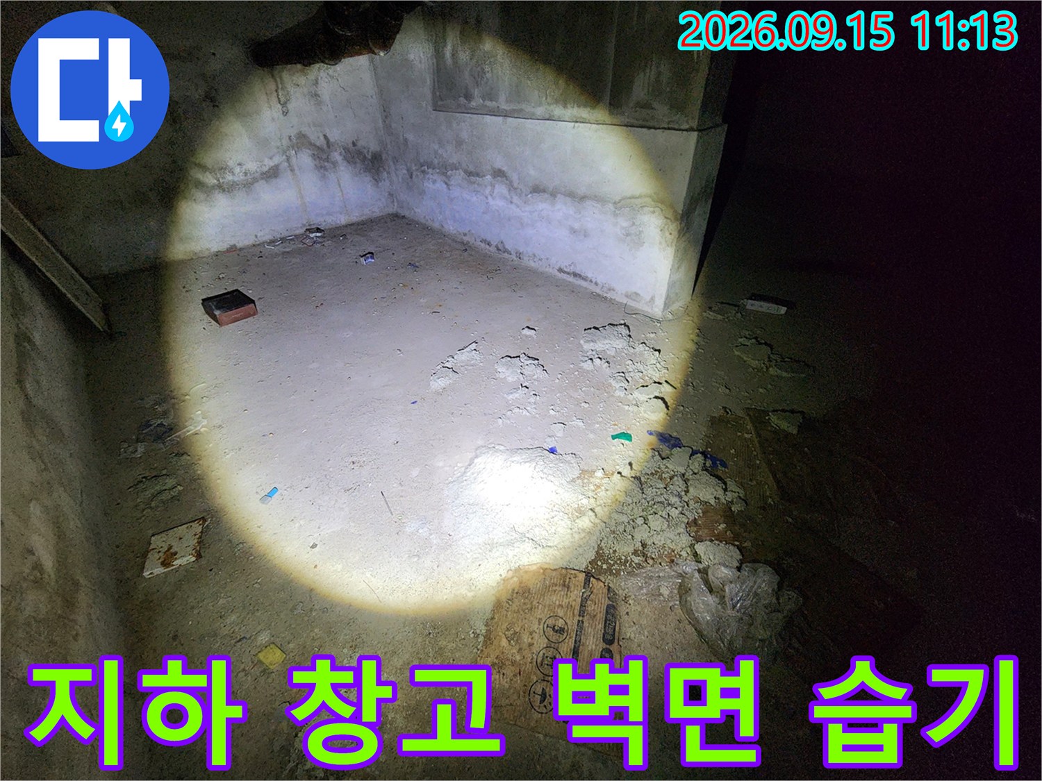 손전등 불빛에 비춰진 지하 창고의 젖은 벽면