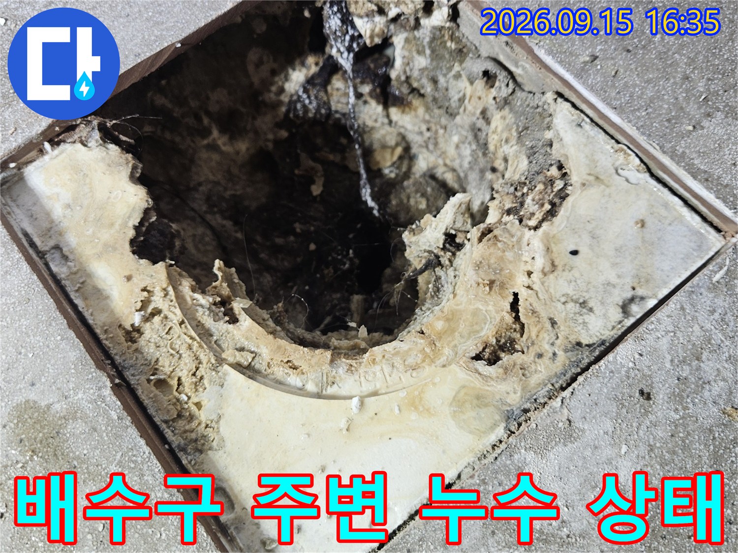 고양시 일산동구-화장실 배수구 유가 주변의 방수층 파손 및 오염 상태를 보여주는 사진입니다.