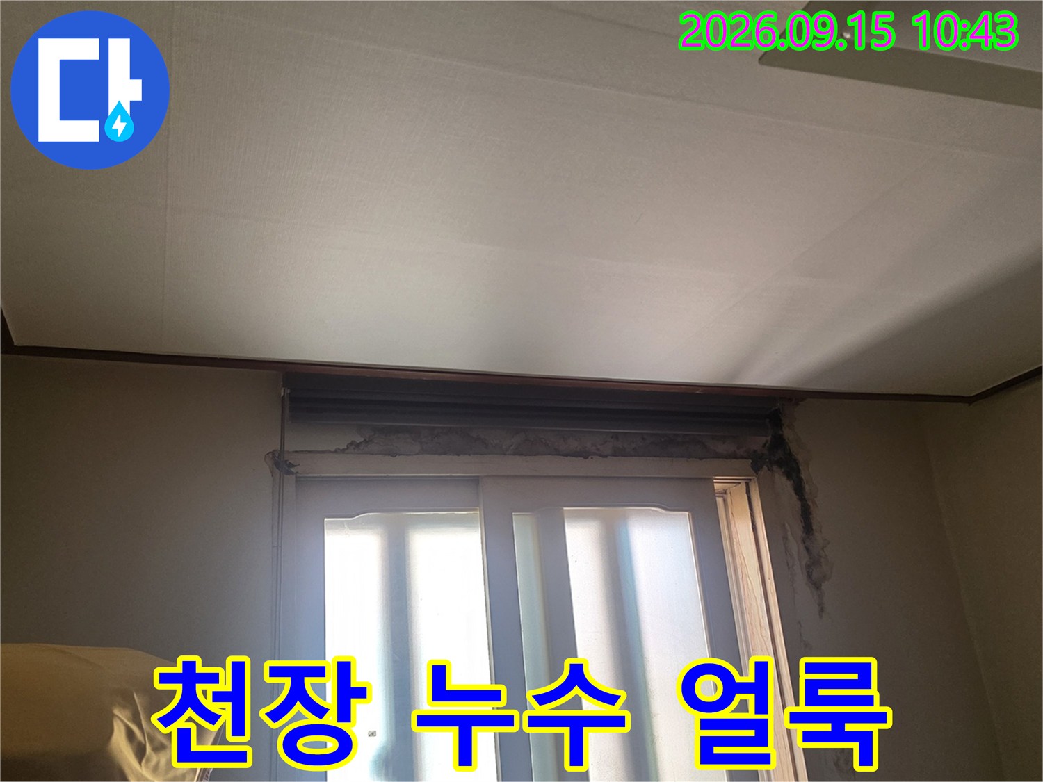 서초구 양재동 주택의 천장 누수 흔적과 창가 주변의 습기 상태