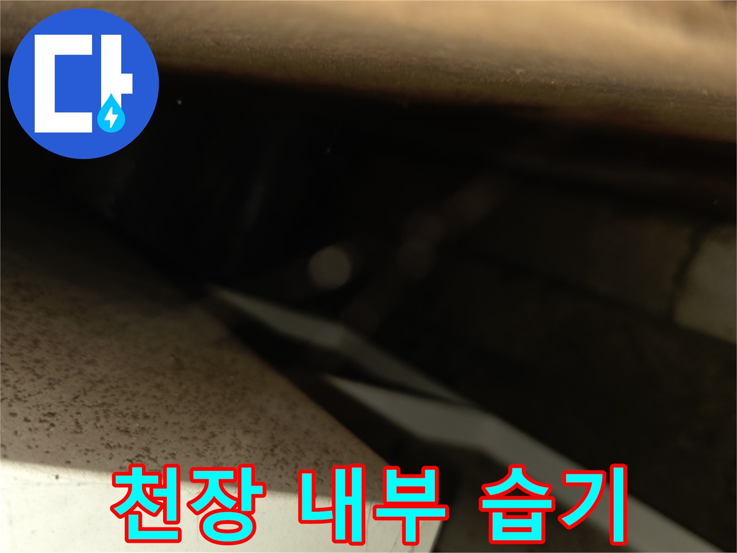 서초구 양재동-천장 내부의 습한 상태를 보여주는 사진