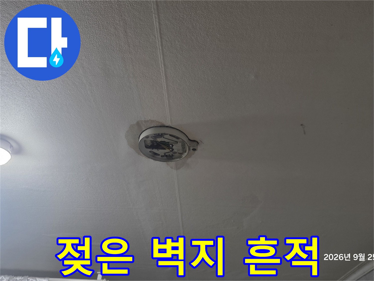 천장 조명 주변의 어두운 색 누수 얼룩